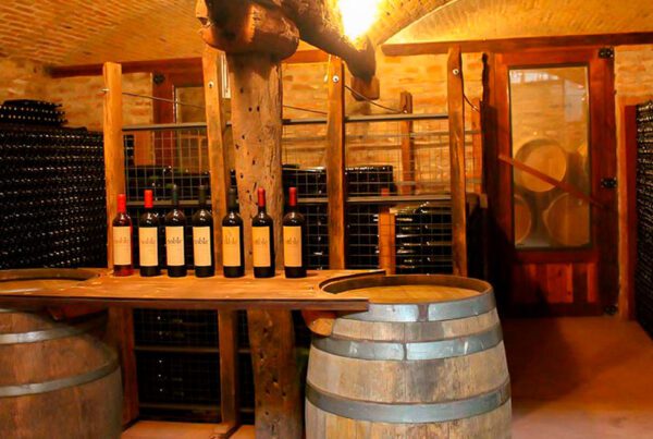 bodega noble de san javier 21